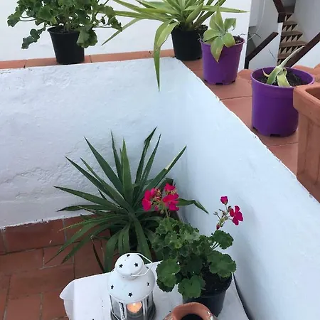 Apartman Eulalia Studio Sitges